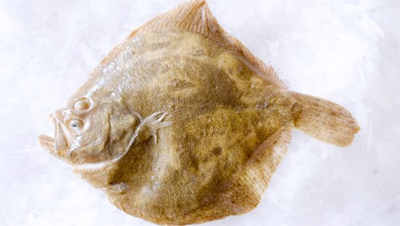 Byron Turbot: I thought it would be amusing to put myself in the story, as it were, suggesting to LeBrock that I write a series of stories based on his adventures. Turbots are particularly ugly fish, as you can see here.