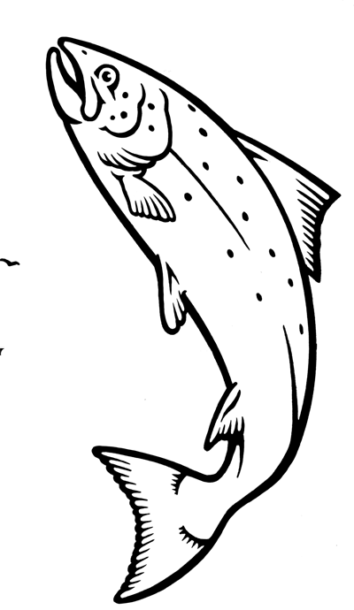 I designed the seafood cornucopia logo and the leaping salmon.
